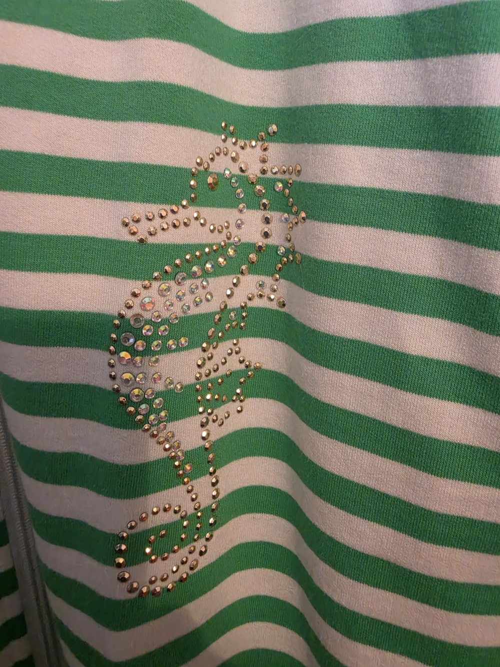 Quacker Factory Green and White Bling Beachy Striped Hooded Zip Jacket